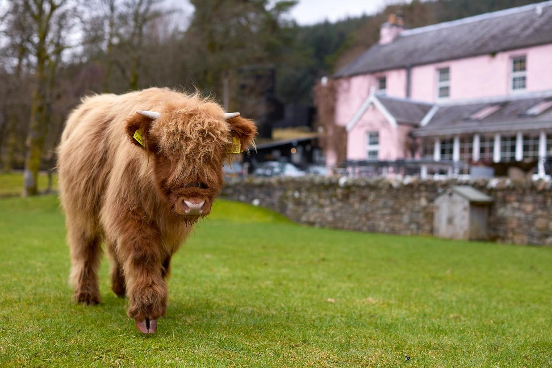 Monachyle Mhor Hotel ล็อคเฮิร์นเฮด ภายนอก รูปภาพ